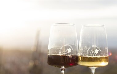 Spuren Heilbronner Frauen