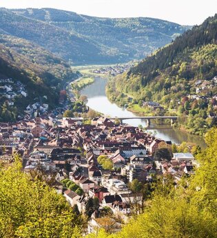 Stadt, Land(schaft), Fluss | © Foto Stadt Eberbach / Andreas Held