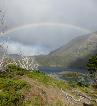 Staunen am Ende der Welt – unterwegs zwischen Atacama und Feuerland | © Foto: privat