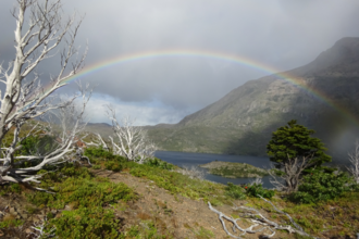 Staunen am Ende der Welt – unterwegs zwischen Atacama und Feuerland | © Foto: privat