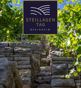 Steillagentag am Niedernberg | © Stadt Besigheim