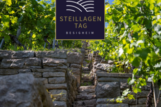 Steillagentag am Niedernberg | © Stadt Besigheim