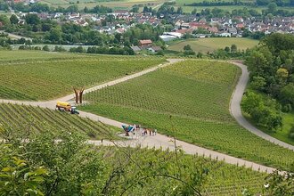 Sundowner im Weinberg | © Weingut Weiberle