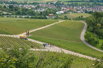 Sundowner im Weinberg | © Weingut Weiberle