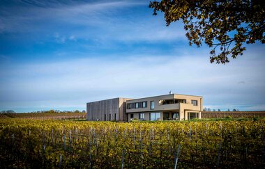 Weingut | Wein und Sektgut Hirschmüller | Lauffen | © NZT