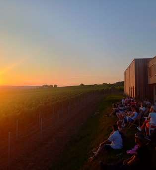 Sundowner Wein- und Sektgut Hirschmüller | Weiprobe | Weinberge | Lauffen | © NZT
