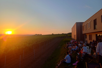 Sundowner Wein- und Sektgut Hirschmüller | Weiprobe | Weinberge | Lauffen | © NZT