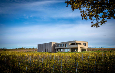 Weingut | Wein und Sektgut Hirschmüller | Lauffen | © NZT