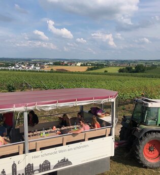 Planwagen Zabergäu-Bummler vor Weinbergen | © Neckar-Zaber-Tourismus e.V.