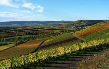 Brackenheim Zweifelberg | Regine Sommerfeld | Weinerlebnisführerin | HeilbronnerLand | © Regine Sommerfeld