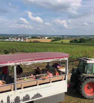 Planwagen Zabergäu-Bummler vor Weinbergen | © Neckar-Zaber-Tourismus e.V.