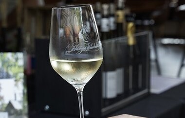 Tag der offenen Tür im Bio-Weingut