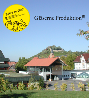 Die Gebäude der LVWO Weinsberg, im Hintergrund befindet sich die Burgruine Weibertreu.