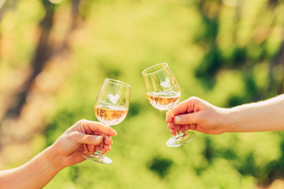 HeilbronnerLand ist Weinland | Weinsüden Baden-Württemberg | © Touristikgemeinschaft HeilbronnerLand e.V.