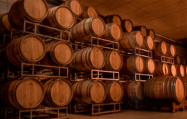 Tag der Offenen Weingüter auf dem Amalienhof | © Weingut Amalienhof