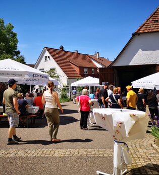 Tag der Weingüter | © Weingut Kurt und Dietmar Ott