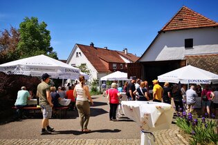 Tag der Weingüter | © Weingut Kurt und Dietmar Ott