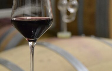 Tag der Weingüter | © Weingut Kurt und Dietmar Ott