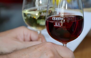 Tag der Weingüter | © Weingut Kurt und Dietmar Ott