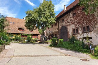 Tag des offenen Denkmals in der Kunstsammlung Heinrich | Maulbronn | © Stadt Maulbronn