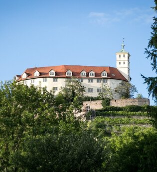 Tag des offenen Denkmals: Schloss Kaltenstein - Wahrzeichen mit bewegter Geschichte