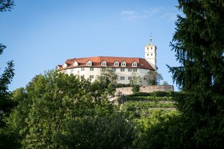 Tag des offenen Denkmals: Schloss Kaltenstein - Wahrzeichen mit bewegter Geschichte