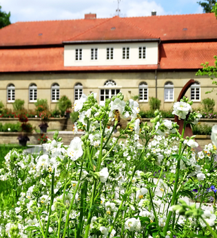 Hofgut Cappel | © Stadt Öhringen