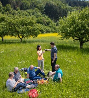 Tag des Wanderns | © TOURISMUS REGION WERTHEIM GmbH