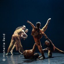 Tanzfestival: FLOCK | Freilichtspiele Schwäbisch-Hall