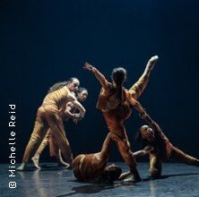 Tanzfestival: FLOCK | Freilichtspiele Schwäbisch-Hall