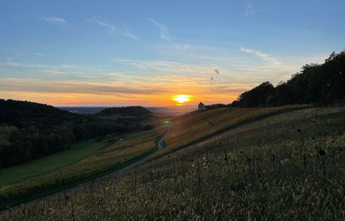 Tapas & Wine auf Burg Wildeck - Weinerlebnisführung | Feinherb Events | © Feinherb Events