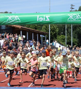 Theodor-Heuss-Lauf Brackenheim | © Stadt Brackenheim