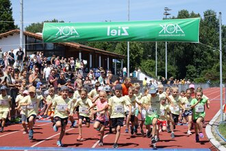 Theodor-Heuss-Lauf Brackenheim | © Stadt Brackenheim