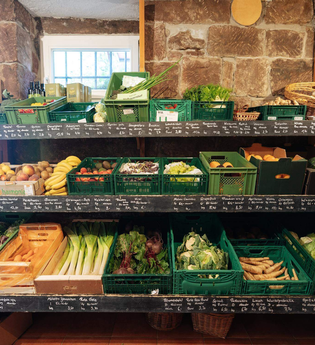 Tomaten-Verkostungsfest - Schloss Tempelhof | © TMBW