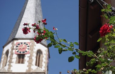 Jakobus Stadtkirche Brackenheim