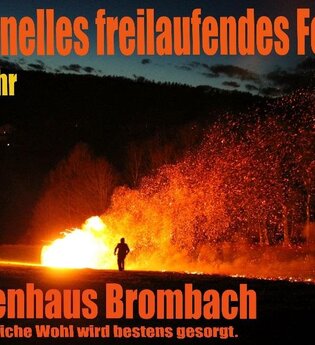Traditionelles, freilaufendes Feuerrad