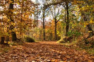 Trauerspaziergang | © HelgaKA