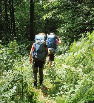 Grün-Grüner-Odenwald! | © Trekk N Guide. Die OutdoorProfis