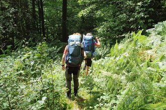 Grün-Grüner-Odenwald! | © Trekk N Guide. Die OutdoorProfis