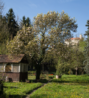Vaihingens Bürgergärten