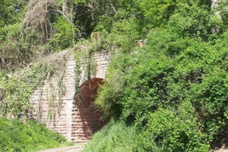 Vergessene Bahnstrecke Meckesheim - Wiesloch