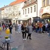 Verkaufsoffener Mozartsonntag
