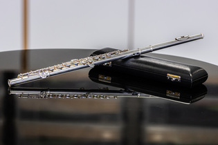 Vivien Schwarz (Perspektiven Heilbronn)