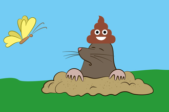 Vom kleinen Maulwurf, der wissen wollte, wer ihm auf den Kopf gemacht hat