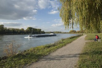 Von Posthörnern und Goldammern | © Landratsamt Rhein-Neckar-Kreis