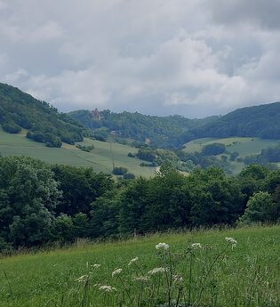 Von Steinkirchen auf die Kupferzeller Ebene