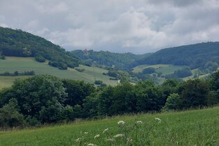 Von Steinkirchen auf die Kupferzeller Ebene