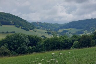 Von Steinkirchen auf die Kupferzeller Ebene
