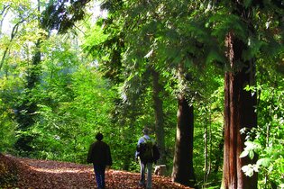 Ein Paar läuft im Exotenwald | © Maria Zimmermann