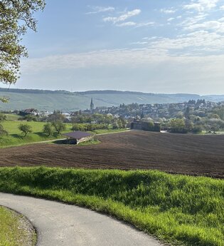 Wald, Weinberge & Weitblicke – Herbstwanderung rund um Bad Mergentheim | © Schwäbischer Albverein